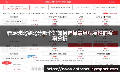 看足球比赛比分哪个好如何选择最具观赏性的赛事分析