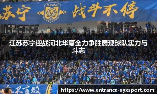 爱游戏官网