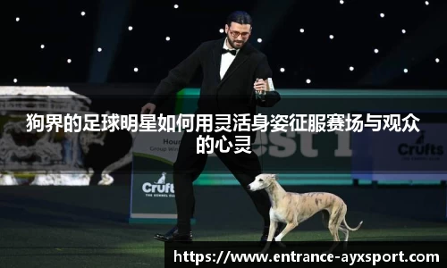 爱游戏体育