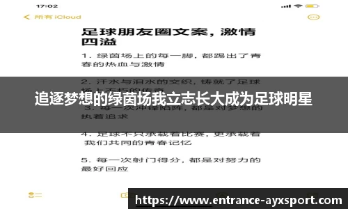 追逐梦想的绿茵场我立志长大成为足球明星