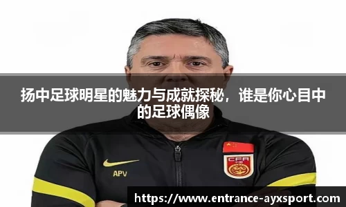 扬中足球明星的魅力与成就探秘，谁是你心目中的足球偶像